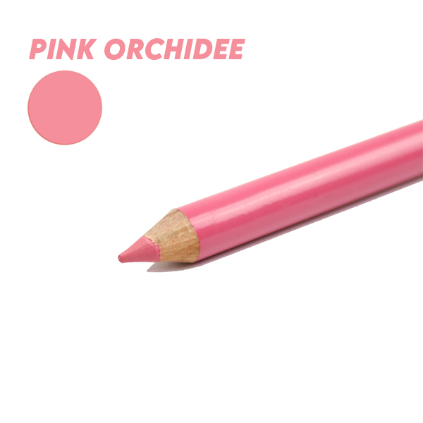 Pink Orchidee