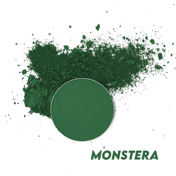Monstera