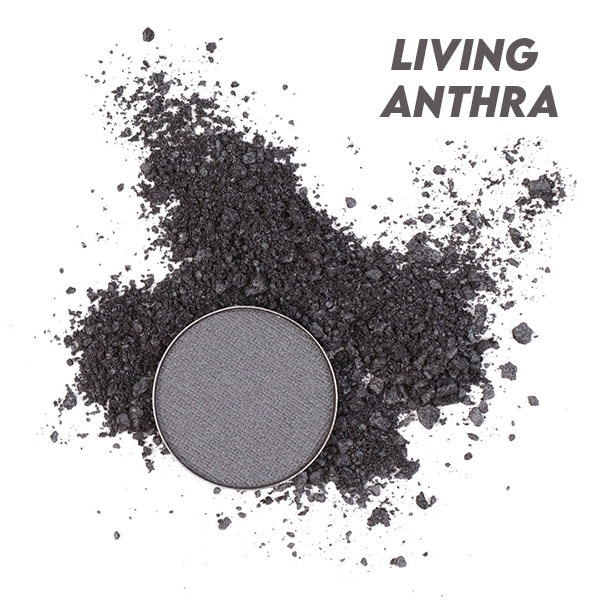 Living Anthra, schimmernd