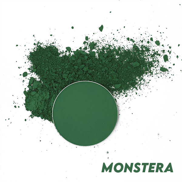 Monstera