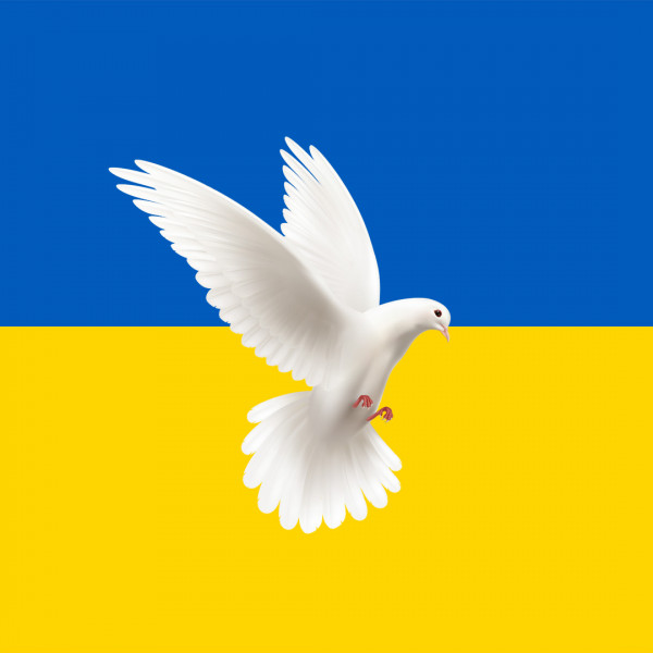 Spenden für die Ukraine, www.makeupcoach.com